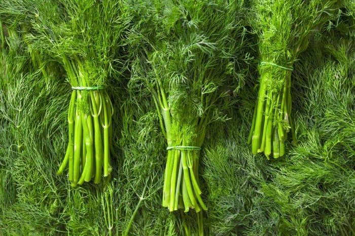 Mặc dù lượng sắt trong cây thì là không quá lớn nhưng cũng có thể góp phần vào việc bổ sung sắt cho cơ thể (Ảnh: ST)