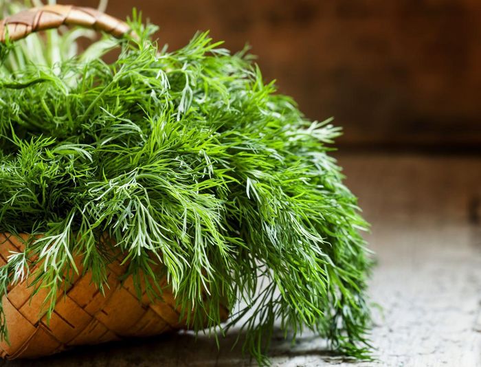 Tác dụng phụ và rủi ro có thể gặp khi ăn rau thì là là gì? Ảnh: ST