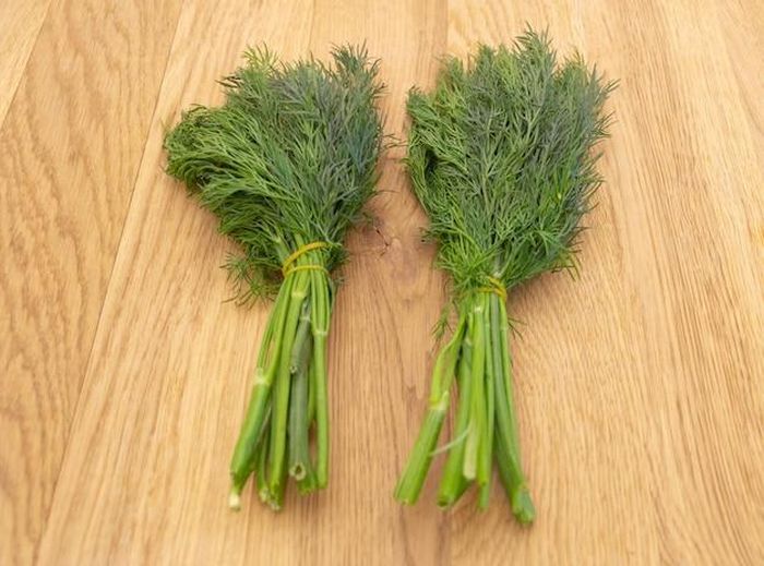 Cây thì là là một loại rau gia vị quen thuộc với các gia đình Việt (Ảnh: ST)