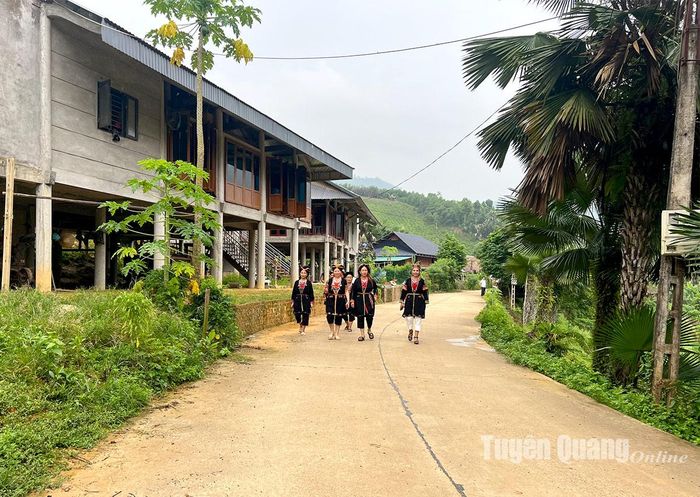 Đường bê tông thôn Cây Quéo, xã Hùng Đức được bê tông rộng 5 m đáp ứng nhu cầu phát triển kinh tế, xã hội lâu dài.