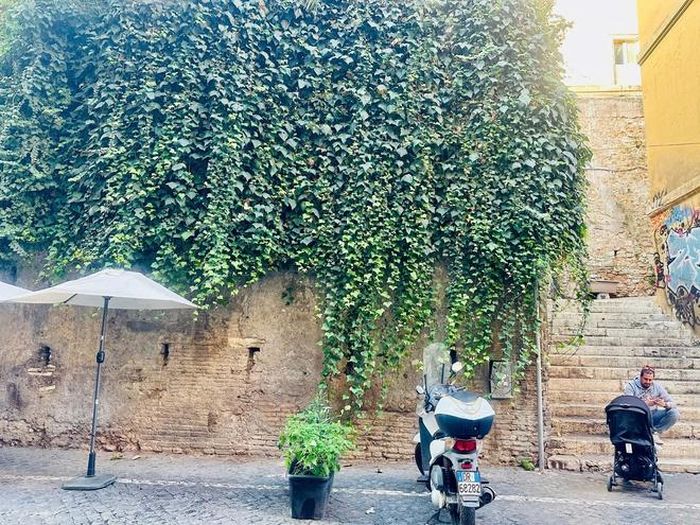 Những ông bố trông con tại Roma. Ảnh: Tô Phương Thủy