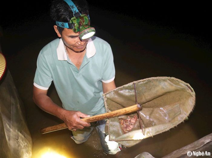 Bà con thức đêm canh rươi, nghe nói "rươi nổi rồi" cảm thấy mừng, nhưng do rươi nổi chưa đều, thửa có, thửa không, nên không ít người chờ mấy tiếng đồng hồ cũng chỉ vớt được vài lượng rươi. Ảnh: Huy Thư