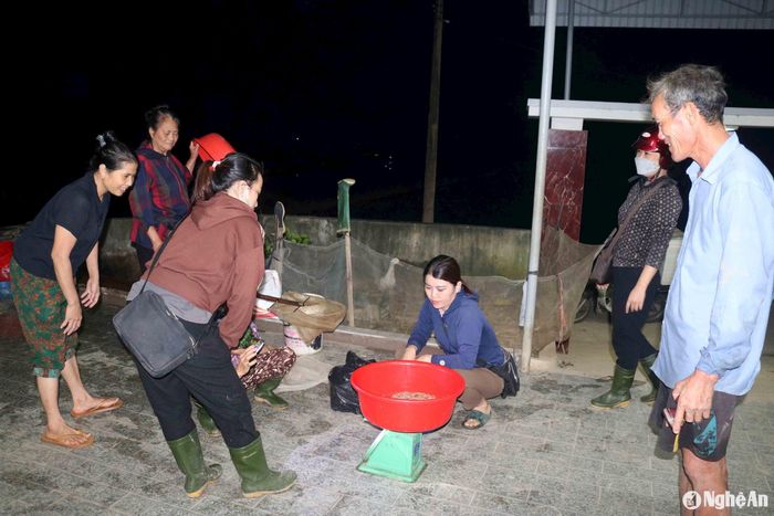 Rươi đầu mùa còn hiếm, người dân mới đưa lên bờ ruộng đã có khách đến mua. Một số hộ được rươi, lái buôn đến tận nhà tranh nhau mua. Giá rươi tại nhà đang được bà con xã Châu Nhân bán với giá 350.000 đồng/kg. Ảnh: Huy Thư