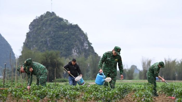 Cán bộ Đồn Biên phòng Ngọc Côn hướng dẫn nhân dân chăm sóc vườn ớt.