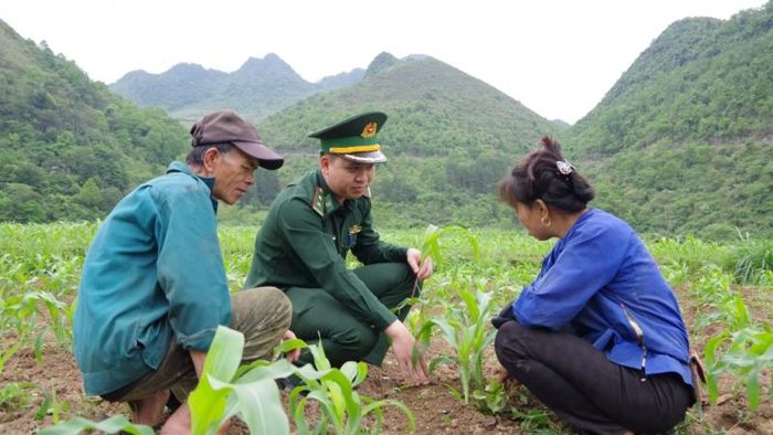 Cán bộ Đồn Biên phòng Lũng Nặm hướng dẫn nhân dân kỹ thuật trồng cây ngô.