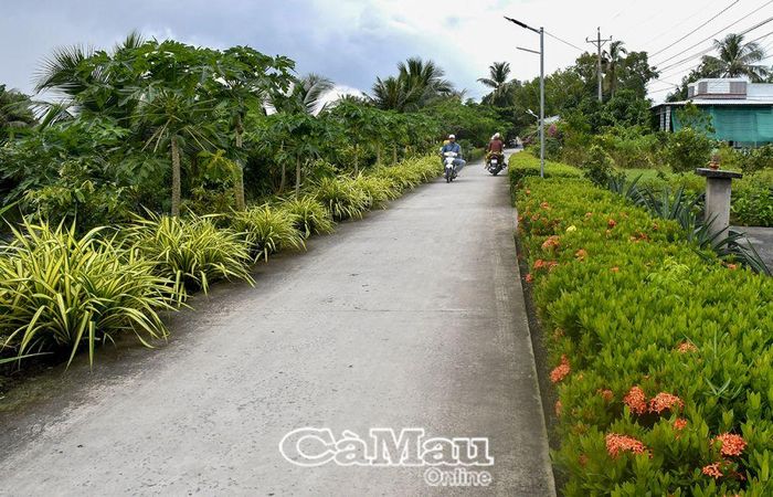 Người dân hai bên bờ Kênh Kiểm chung sức tô điểm diện mạo quê hương.