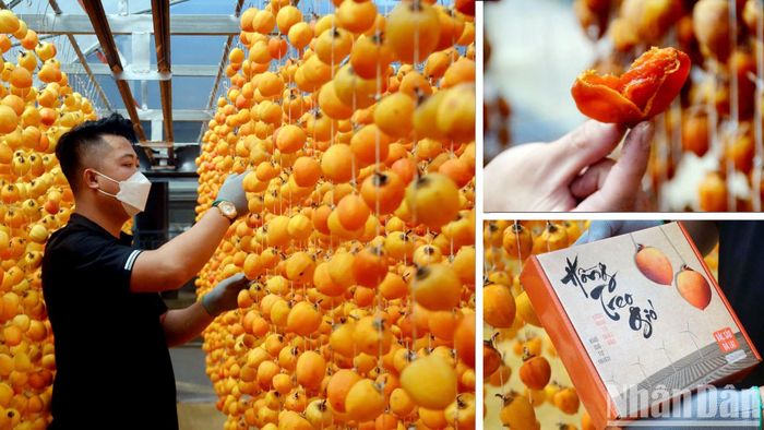 Khi quá trình "treo gió" hoàn tất, trái hồng chuyển màu nâu mật và được hạ giàn, cắt cuống, sau đó đóng gói thành phẩm. Hiện, đặc sản hồng Đà Lạt rất được ưa chuộng và luôn theo hành trang du khách sau mỗi chuyến trải nghiệm xứ ngàn hoa. 
