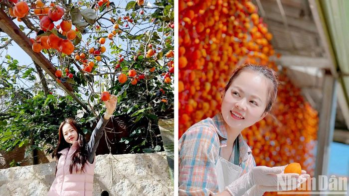 Đà Lạt mùa hồng chín trở thành dư vị ngọt ngào, lãng mạn với du khách khi trải nghiệm thành phố ngàn hoa. Phong cảnh thiên nhiên, di sản văn hóa, nét duyên người Đà Lạt... và cảnh sắc vườn hồng, chắc chắn sẽ làm du khách vấn vương...
