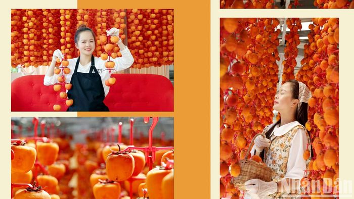 Với đặc sản hồng treo gió Đà Lạt, thông thường, khoảng ba tuần là quá trình treo gió hoàn tất. Trong quá trình này, người làm hồng treo gió rất "khắt khe" trong việc "mở cửa" cho du khách check-in nhằm bảo đảm môi trường thanh sạch. Phần lớn, những khuôn hình mơ màng, quyến rũ như thế thường được những "cô chủ" ghi lại. 