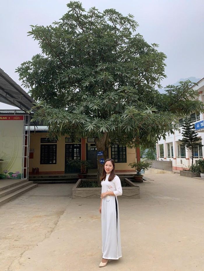  Cô giáo Nguyễn Thị Dung, giáo viên trường PTDTBT Tiểu học Phong Dụ Thượng. 