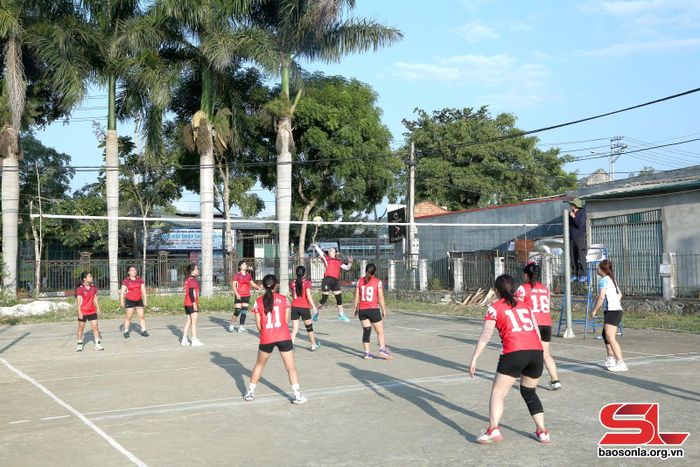 Một trận thi đấu bóng chuyền da nữ tại giải.