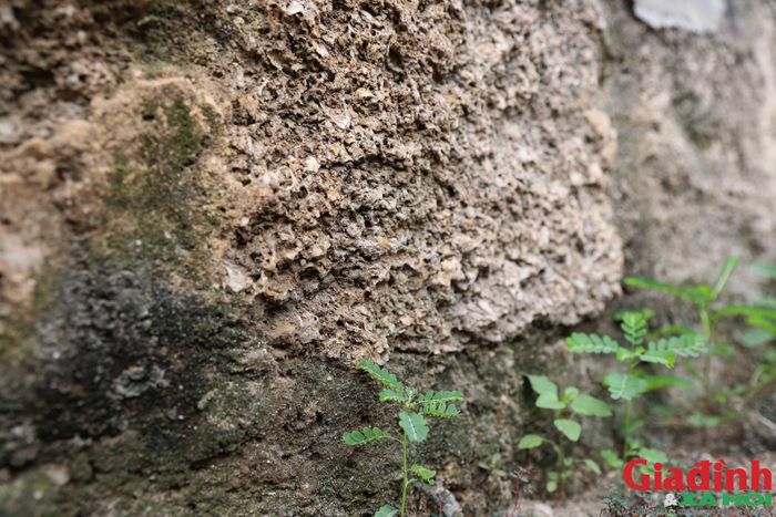 Qua hàng chục năm và nhiều lần bị nước biển dâng ngập trong các trận bão lụt, những bức tường xây bằng sò mỏ đã bong tróc lớp vôi vữa bên ngoài, để lộ những viên sò mỏ xếp chồng lớp, kết dính với nhau bằng vôi vữa đơn sơ.