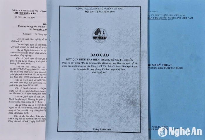 Báo cáo kết quả điều tra hiện trạng rừng tự nhiên khoảnh 8, tiểu khu 490, xã Na Ngoi, Phân viện Điều tra quy hoạch rừng Bắc Trung Bộ. Ảnh: Nhóm PV Pháp luật - Bạn đọc