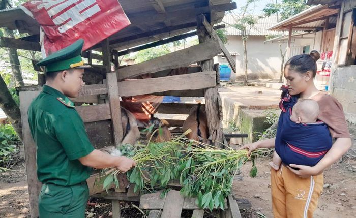 Cán bộ Đồn biên phòng cửa khẩu quốc tế La Lay hướng dẫn cách chăm sóc dê theo hình thức nuôi nhốt cho người dân -Ảnh: T.L