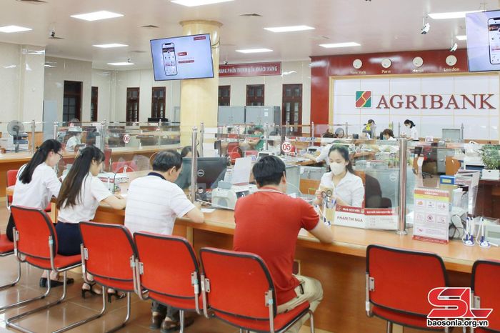 Khách hàng giao dịch tại Agribank Sơn La.