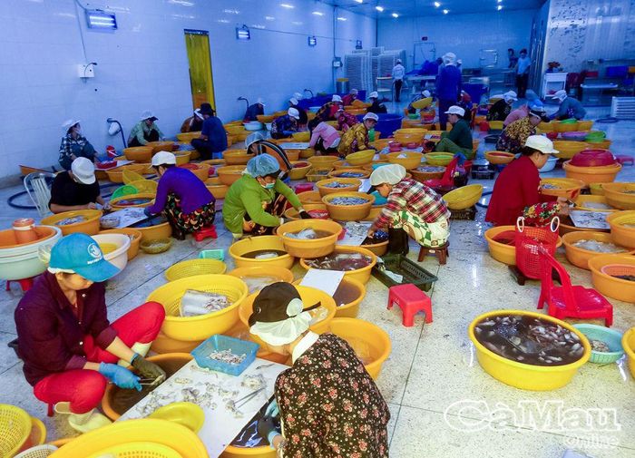 Thời gian gần đây, nhờ áp dụng các biện pháp chống khai thác thủy sản tận diệt, nên sản lượng thủy sản có chiều hướng tăng, giúp người dân tăng thu nhập, tạo việc làm cho nhiều lao động vùng ven biển.
