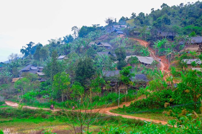 Một góc bản Mường Lống, xã Tri Lễ, huyện Quế Phong. Ảnh: Đình Tuyên