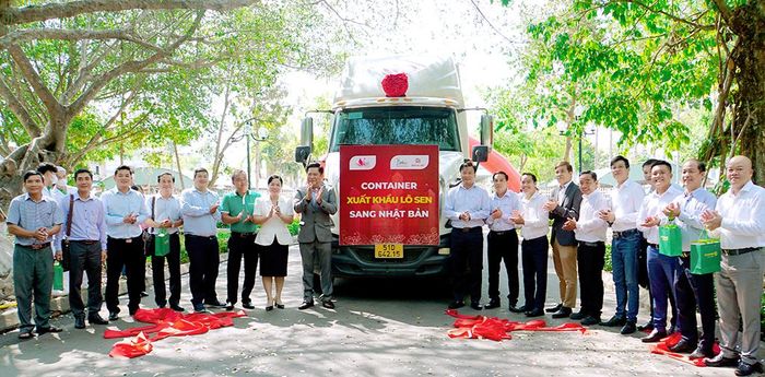 Lần đầu tiên, Đồng Tháp xuất khẩu 15 tấn củ sen sang Nhật Bản, giúp người nông dân tăng thêm thu nhập