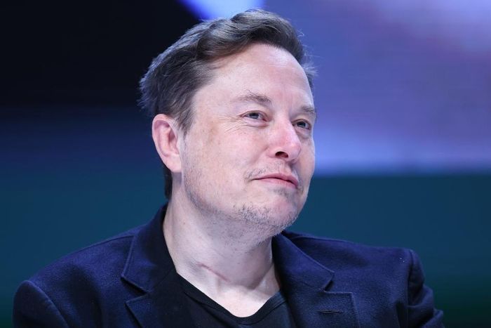 Elon Musk được mời đứng đầu Bộ Hiệu quả chính phủ. Ảnh: Internet