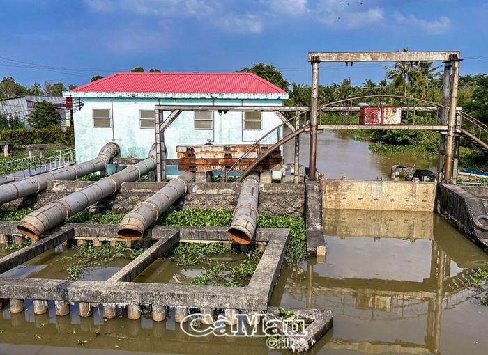 Cống Rạch Nhum, một trong các cống của hệ thống cống bảo vệ vùng ngọt hóa huyện Trần Văn Thời dọc tuyến Tắc Thủ - Sông Ðốc.