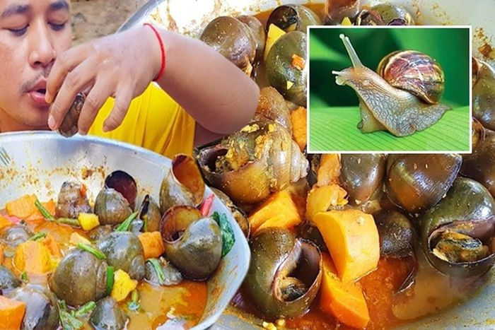 Trái ngược với hình thức bên ngoài, ốc hầm lại có hương vị vô cùng đặc biệt. Thịt ốc mềm, dai, kết hợp với nước sốt cà ri đậm đà, thơm lừng các loại gia vị như hành, tỏi, ớt, gừng... tạo nên một món ăn vô cùng hấp dẫn. Ảnh: My tour
