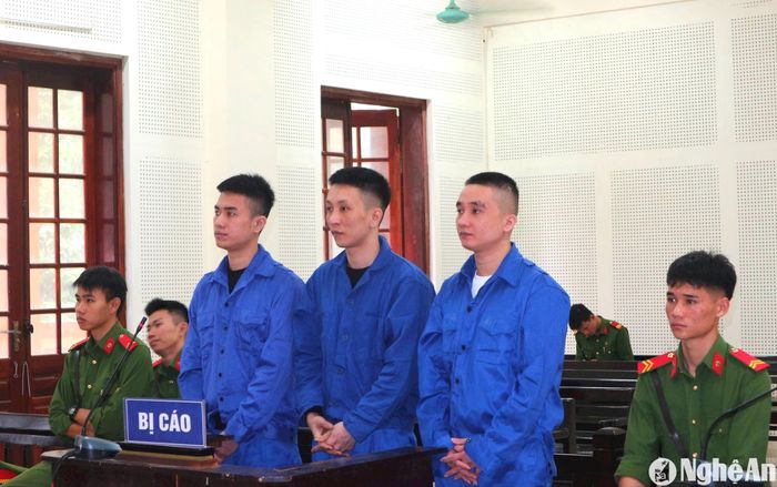 Các bị cáo tại phiên tòa. Ảnh: Trần Vũ