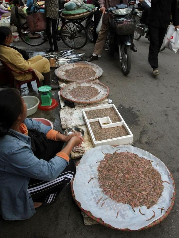 Rươi bán ở chợ Ga, Hải Phòng với giá 400.000 đồng/kg. Ảnh chụp năm 2024