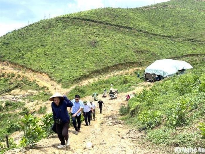 Tổ công tác liên ngành huyện Quỳ Hợp kiểm tra thực địa giải quyết tranh chấp đất đai của người dân ở xã Châu Cường. Ảnh tư liệu minh họa: Ngọc Tú