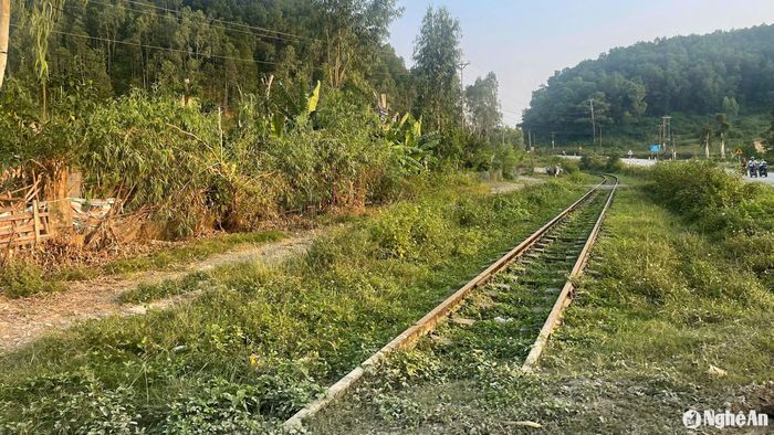 Một đoạn đường ray phía xã Ngọc Sơn (Quỳnh Lưu). Ảnh: Tiến Đông