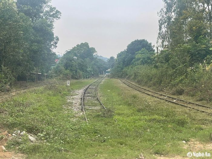 Do nhiều năm không chạy tàu nên toàn tuyến đường sắt này đã bị hư hỏng nặng nề. Ảnh: Tiến Đông