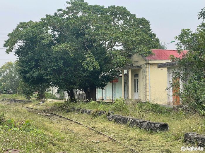 Ga Tuần tại xã Quỳnh Châu (Quỳnh Lưu). Ảnh: Tiến Đông