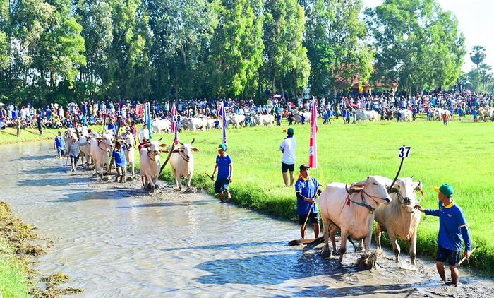 Chăm lo đời sống văn hóa, tinh thần của đồng bào các dân tộc thiểu số tại An Giang