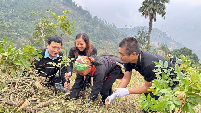 Hơn 100 người dân tại thôn Vàng Ngần, bao gồm cả người già và trẻ em, đã cùng chung tay với đội ngũ tổ chức để trồng cây.
