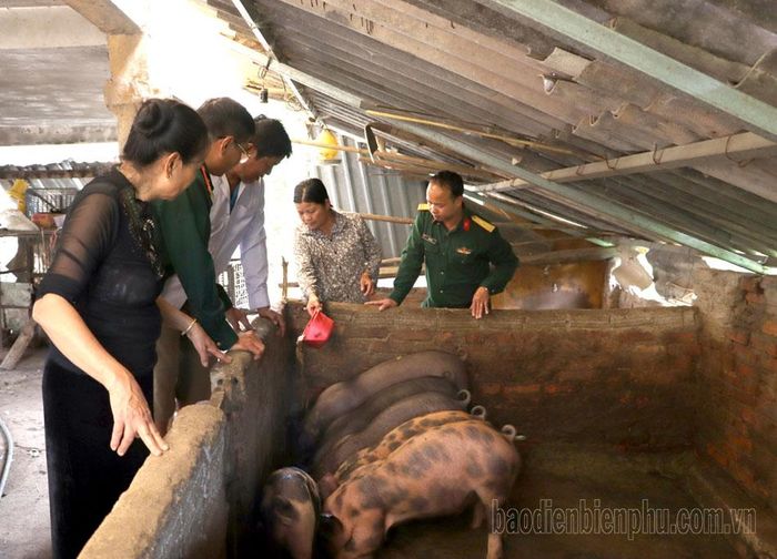 Cán bộ Đoàn 379 kiểm tra mô hình nuôi lợn thịt của gia đình bà Mào Thị Vóng, bản Chiềng Nưa (xã Si Pa Phìn).