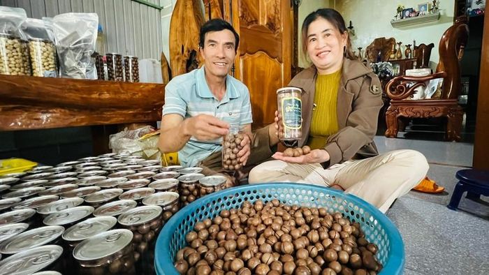 Vợ chồng chị Nguyễn Thị Thủy (thôn Thống Nhất, xã Sơn Lang) đóng gói hạt mắc ca bán cho khách. Ảnh: Đinh Yến