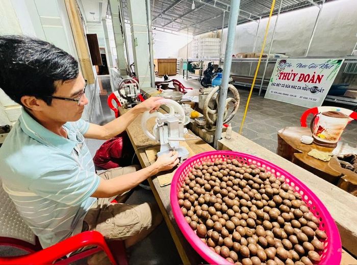 Để đảm bảo chất lượng mắc ca ăn ngon. sạch gia đình chị Nguyễn Thị Thủy tiến hành tách hạt thủ công. Ảnh: Đinh Yến