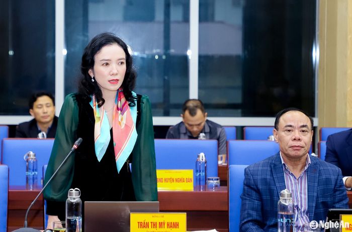 Giám đốc Sở Văn hóa và Thể thao Trần Thị Mỹ Hạnh phát biểu tại phiên họp. Ảnh: Phạm Bằng