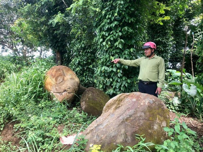  Nhiều hộ dân trên địa bàn xã Ia Hrung (huyện Ia Grai) sau khi cải tạo ruộng, vườn đã chấp hành theo đúng cam kết để lại đá tại vườn. Ảnh: Lê Nam 
