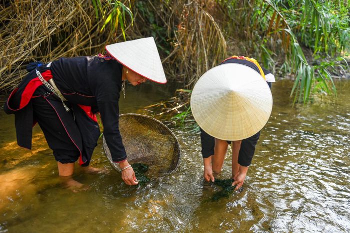 Chị Hoàng Thị Miên và chị Đặng Thị Lả, người dân thôn Khun, xã Bằng Lang chia sẻ rằng, rêu đá là món ăn gắn bó với tuổi thơ của nhiều thế hệ, "Từ thời các cụ đã chế biến nhiều món ăn từ rêu đá rồi, những lúc khó khăn, có rêu đá để ăn là vui lắm" - chị Miên bồi hồi nhớ lại.