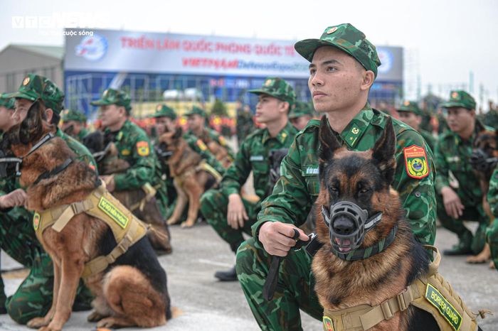 Đây là lần đầu tiên lực lượng quân khuyển tham gia trình diễn tại Triển lãm Quốc phòng quốc tế Việt Nam. 