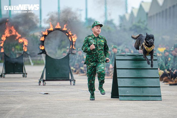 145 cán bộ, huấn luyện viên và 115 chó nghiệp vụ của trường Trung cấp 24 Biên phòng thuộc Bộ Tư lệnh Biên phòng được tuyển chọn biểu diễn.