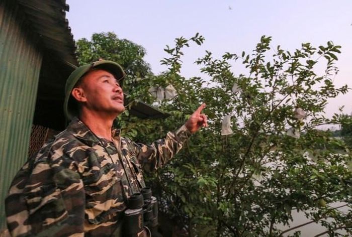  8 năm qua, ông Cường vẫn miệt mài bảo vệ đàn chim cư trú tại vườn. 