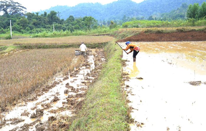 Trên mỗi đám ruộng bậc thang, hình ảnh thường thấy là chồng lái máy cày làm đất, còn vợ dọn bờ, điều tiết nước phù hợp vào những thửa ruộng. Ảnh: Quang An
