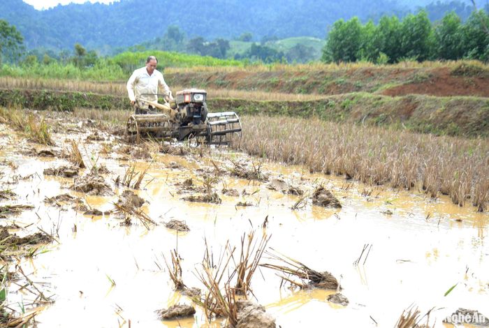 Anh Lý Ca Dinh ở bản Na Niếng, xã Tri Lễ cho biết, gia đình anh có 3 thửa ruộng bậc thang, với diện tích 800m2. Mặc dù còn hơn 1 tháng nữa mới vào vụ gieo cấy lúa xuân, nhưng nay vợ chồng lấy nước vào ruộng, sử dụng cơ giới để làm đất. Với đồng bào vùng cao, sản xuất nông nghiệp để đảm bảo lương thực nên việc làm ruộng được ưu tiên hàng đầu để đạt năng suất cao. Ảnh: Quang An