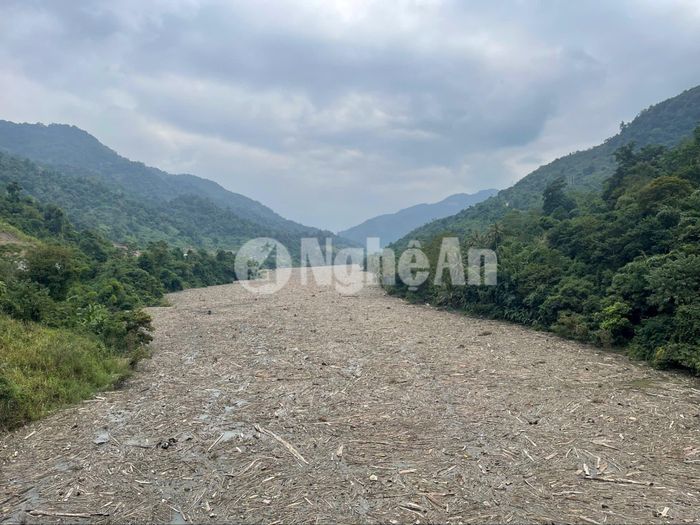 Từ trên cao, có thể dễ dàng nhìn thấy cả một khúc sông dài bị rác phủ kín dày đặc, khó mà nhận ra đây là một dòng sông nữa. Ảnh: Tiến Đông