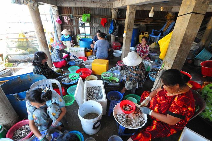 Xóm cá chộn rộn ven dòng kênh Vĩnh Tế