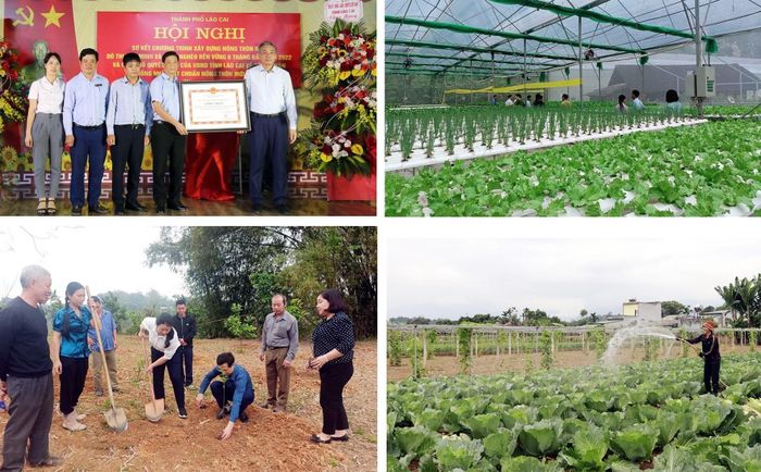  Năm 2021 (chỉ sau 1 năm được thành lập), xã Thống Nhất được công nhận đạt chuẩn nông thôn mới. Cơ cấu kinh tế của xã chủ yếu vẫn là sản xuất nông nghiệp nhưng đã chuyển nhanh sang sản xuất nông nghiệp ứng dụng công nghệ cao, khác vụ, là “vựa" rau của thành phố Lào Cai. 