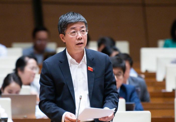 Đại biểu Nguyễn Mạnh Hùng (đoàn Cần Thơ)