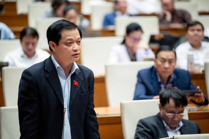 Đại biểu Nguyễn Hải Nam (đoàn Thừa Thiên Huế)