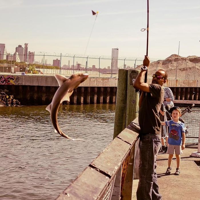  Câu cá ở Red Hook, một khu vực ven sông ở Brooklyn, New York, nổi tiếng với hoạt động câu cá giải trí nhờ vị trí địa lý thuận lợi và cảnh quan độc đáo. Khu vực này có nhiều điểm câu cá phổ biến, bao gồm các bến tàu và công viên ven sông, nơi người dân địa phương và du khách thường đến để câu các loài cá như cá vược sọc, cá trích và cá xanh. 